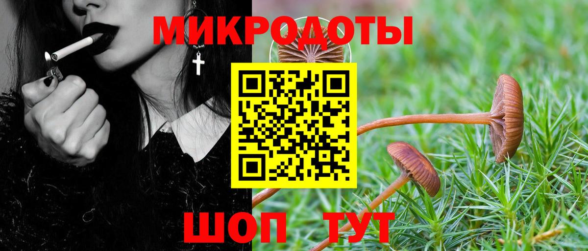 Псилоцибиновые грибы Cubensis Отрадный